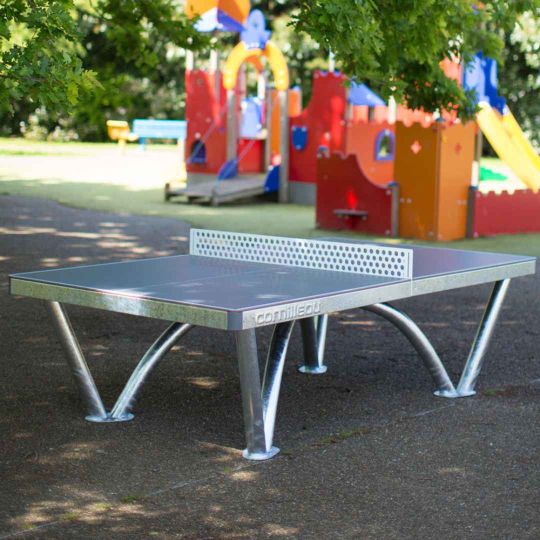 park outdoor tennis table